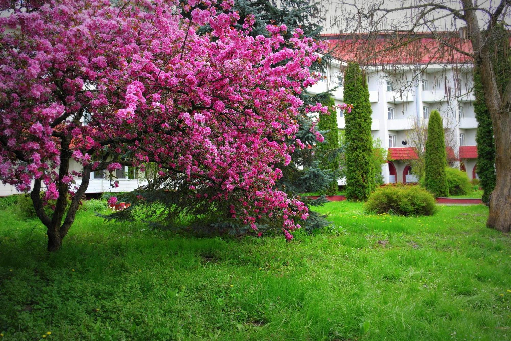 Санаторій Червона Калина Zhobryn Exterior foto